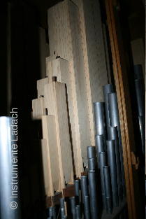 Pinchi 4/II+P